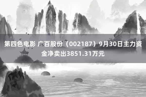 第四色电影 广百股份（002187）9月30日主力资金净卖出3851.31万元