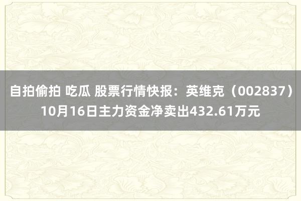 自拍偷拍 吃瓜 股票行情快报：英维克（002837）10月16日主力资金净卖出432.61万元