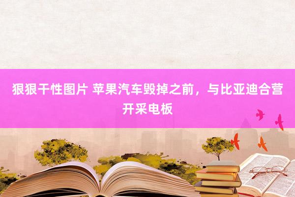狠狠干性图片 苹果汽车毁掉之前，与比亚迪合营开采电板