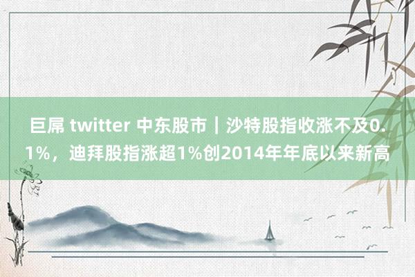 巨屌 twitter 中东股市｜沙特股指收涨不及0.1%，迪拜股指涨超1%创2014年年底以来新高