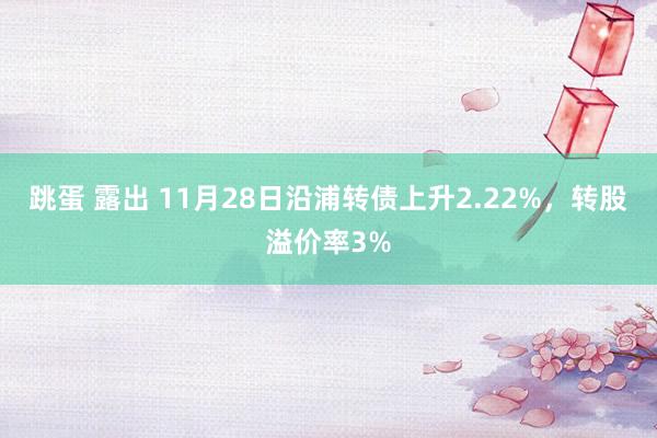 跳蛋 露出 11月28日沿浦转债上升2.22%，转股溢价率3%
