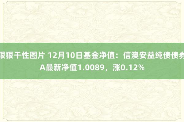 狠狠干性图片 12月10日基金净值：信澳安益纯债债券A最新净值1.0089，涨0.12%