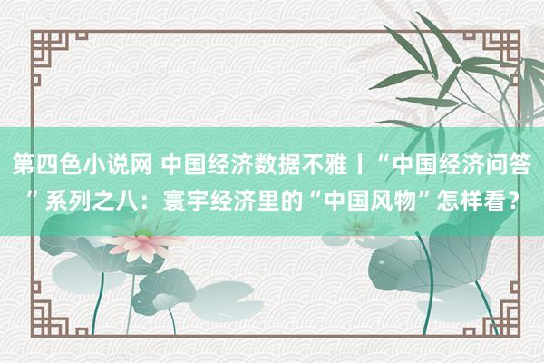 第四色小说网 中国经济数据不雅丨“中国经济问答”系列之八：寰宇经济里的“中国风物”怎样看？