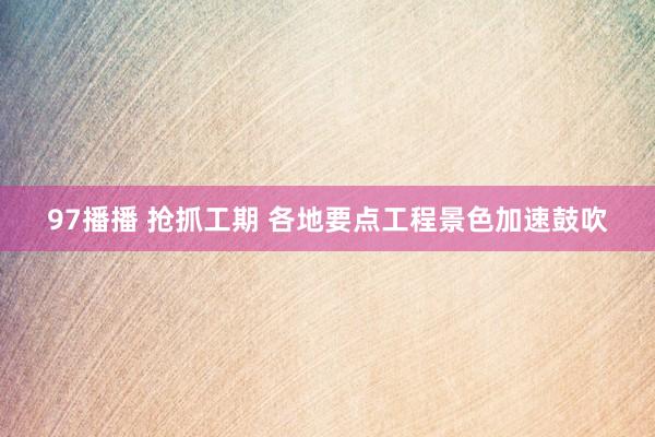97播播 抢抓工期 各地要点工程景色加速鼓吹