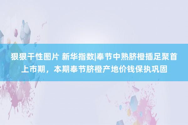 狠狠干性图片 新华指数|奉节中熟脐橙插足聚首上市期，本期奉节脐橙产地价钱保执巩固