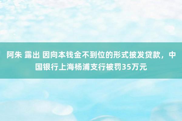 阿朱 露出 因向本钱金不到位的形式披发贷款，中国银行上海杨浦支行被罚35万元