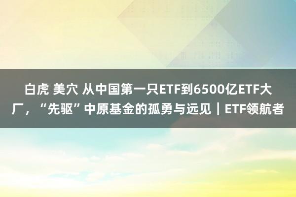 白虎 美穴 从中国第一只ETF到6500亿ETF大厂，“先驱”中原基金的孤勇与远见｜ETF领航者