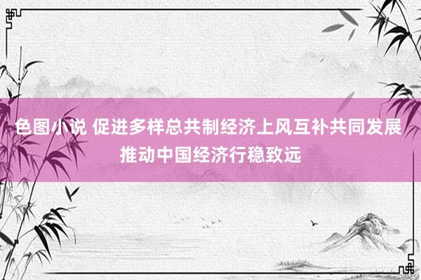 色图小说 促进多样总共制经济上风互补共同发展 推动中国经济行稳致远