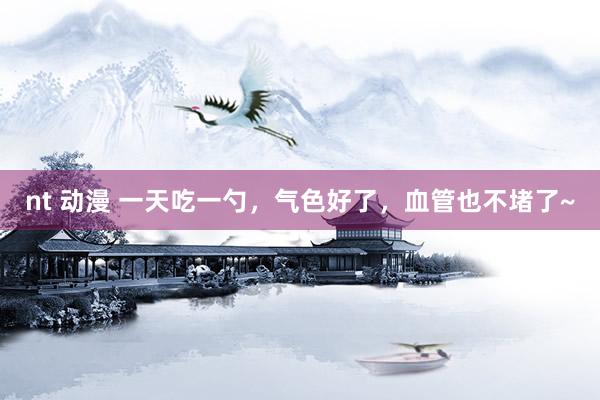 nt 动漫 一天吃一勺，气色好了，血管也不堵了~