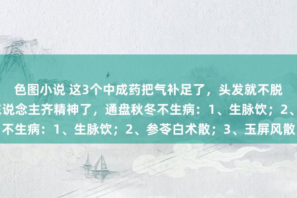色图小说 这3个中成药把气补足了，头发就不脱了，鹤发也转黑了，东说念主齐精神了，通盘秋冬不生病：1、生脉饮；2、参苓白术散；3、玉屏风散