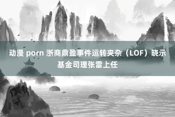 动漫 porn 浙商鼎盈事件运转夹杂（LOF）晓示基金司理张雷上任