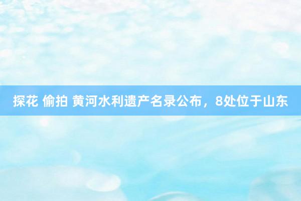 探花 偷拍 黄河水利遗产名录公布，8处位于山东