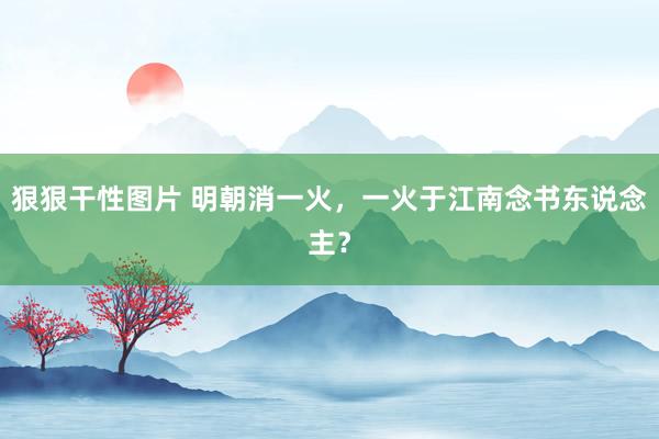 狠狠干性图片 明朝消一火，一火于江南念书东说念主？