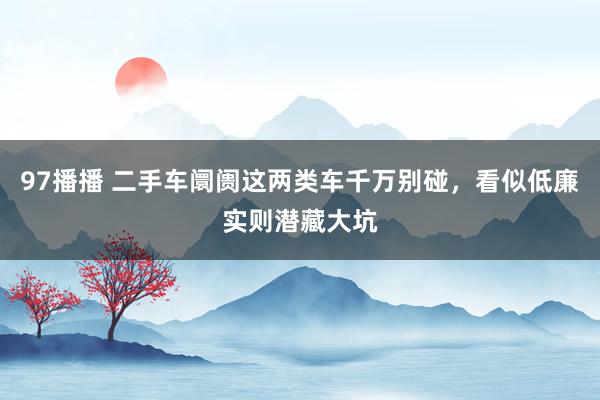 97播播 二手车阛阓这两类车千万别碰，看似低廉实则潜藏大坑