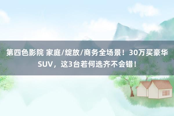 第四色影院 家庭/绽放/商务全场景！30万买豪华SUV，这3台若何选齐不会错！