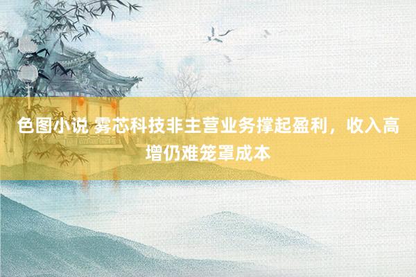 色图小说 雾芯科技非主营业务撑起盈利，收入高增仍难笼罩成本