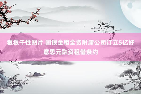 狠狠干性图片 国银金租全资附庸公司订立5亿好意思元融资租借条约