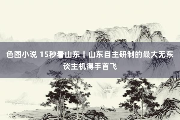 色图小说 15秒看山东丨山东自主研制的最大无东谈主机得手首飞