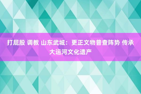 打屁股 调教 山东武城：更正文物普查阵势 传承大运河文化遗产