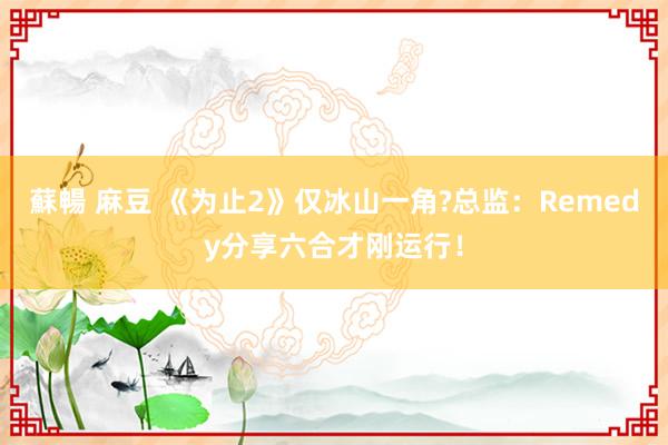 蘇暢 麻豆 《为止2》仅冰山一角?总监：Remedy分享六合才刚运行！