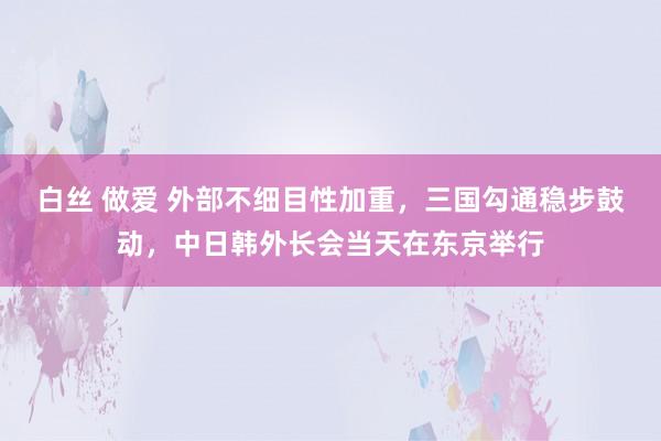 白丝 做爱 外部不细目性加重，三国勾通稳步鼓动，中日韩外长会当天在东京举行