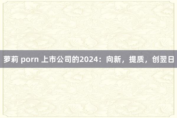 萝莉 porn 上市公司的2024：向新，提质，创翌日