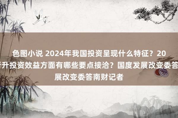 色图小说 2024年我国投资呈现什么特征？2025年在晋升投资效益方面有哪些要点接洽？国度发展改变委答南财记者