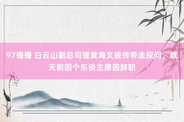 97播播 白云山副总司理黄海文被传带走探问，数天前因个东谈主原因辞职