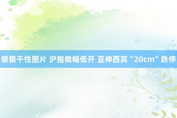 狠狠干性图片 沪指微幅低开 豆神西宾“20cm”跌停