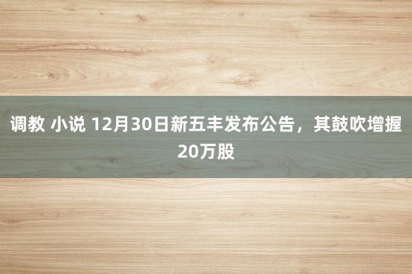 调教 小说 12月30日新五丰发布公告，其鼓吹增握20万股
