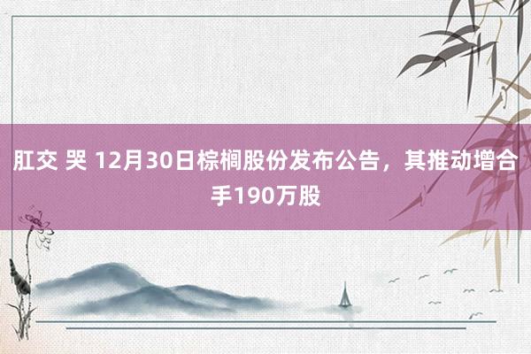 肛交 哭 12月30日棕榈股份发布公告，其推动增合手190万股