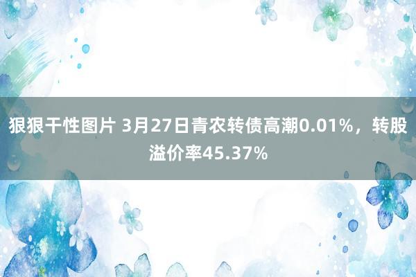 狠狠干性图片 3月27日青农转债高潮0.01%，转股溢价率45.37%