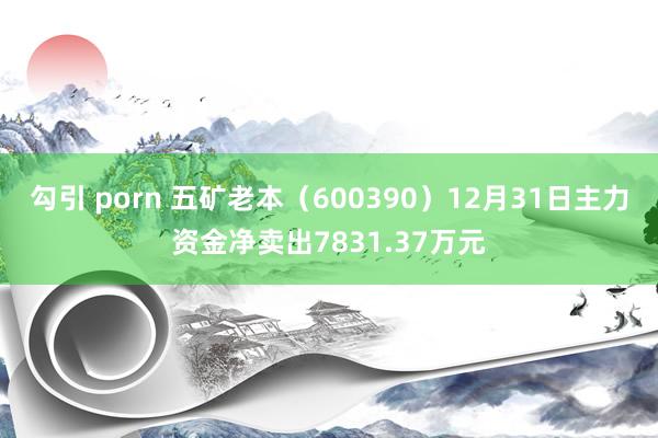勾引 porn 五矿老本（600390）12月31日主力资金净卖出7831.37万元