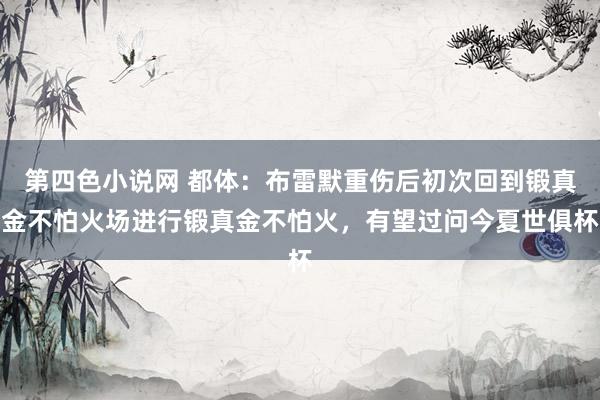 第四色小说网 都体：布雷默重伤后初次回到锻真金不怕火场进行锻真金不怕火，有望过问今夏世俱杯