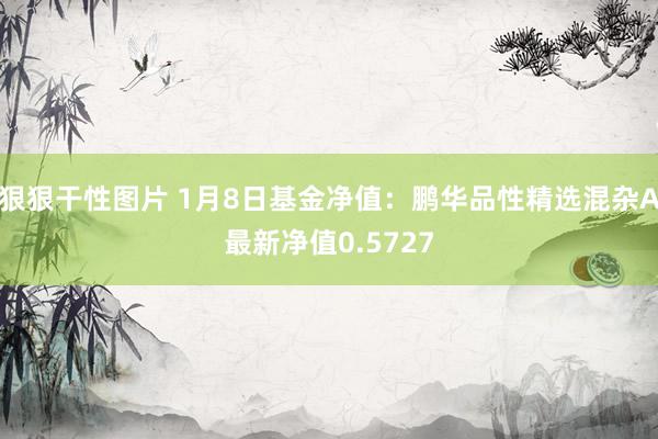 狠狠干性图片 1月8日基金净值：鹏华品性精选混杂A最新净值0.5727