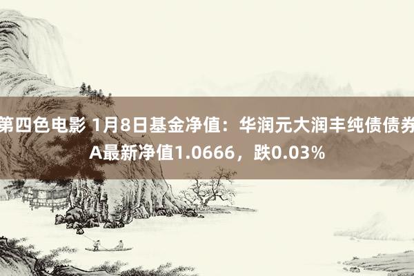 第四色电影 1月8日基金净值：华润元大润丰纯债债券A最新净值1.0666，跌0.03%