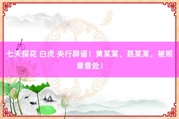 七天探花 白虎 央行辟谣！黄某某、聂某某，被照章查处！