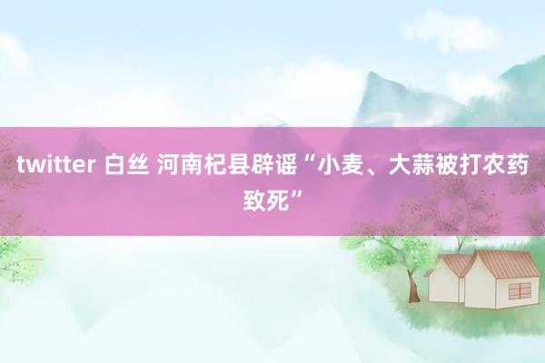 twitter 白丝 河南杞县辟谣“小麦、大蒜被打农药致死”