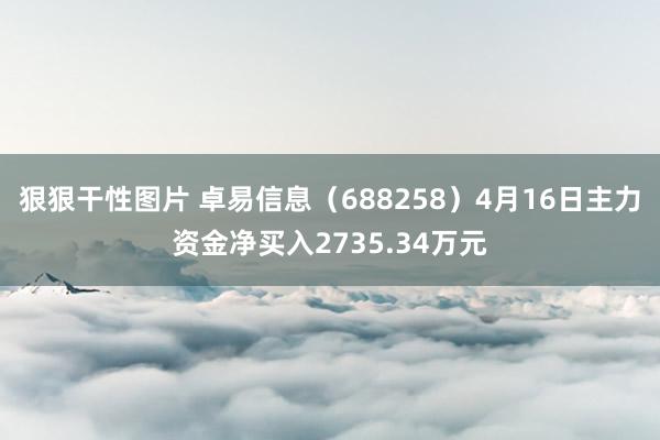 狠狠干性图片 卓易信息（688258）4月16日主力资金净买入2735.34万元