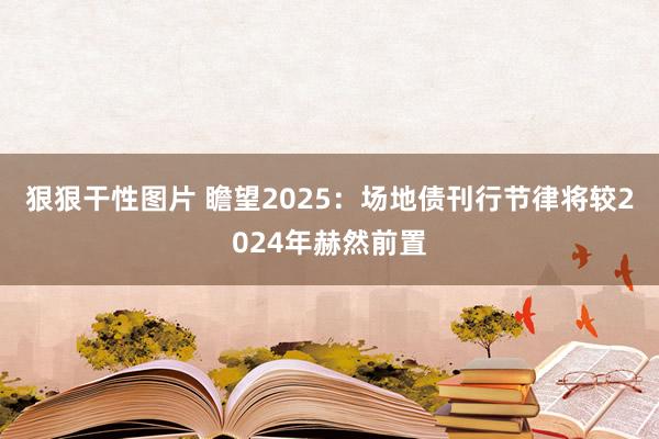 狠狠干性图片 瞻望2025：场地债刊行节律将较2024年赫然前置