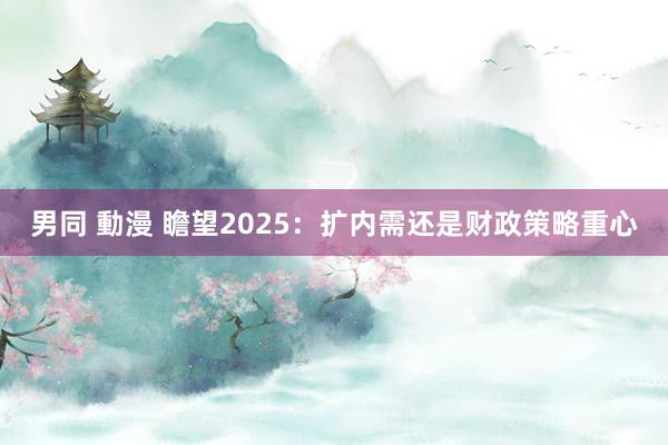 男同 動漫 瞻望2025：扩内需还是财政策略重心