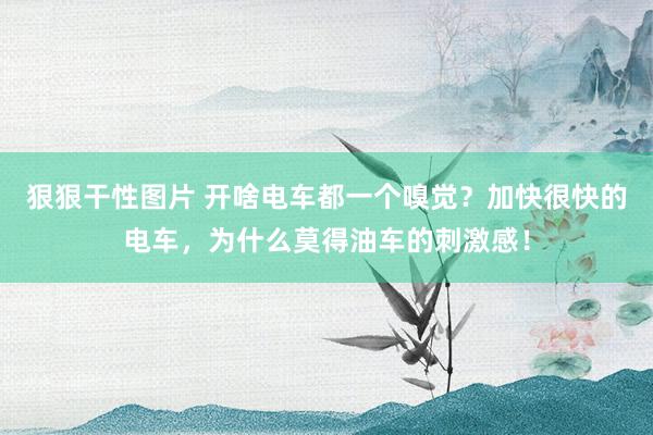 狠狠干性图片 开啥电车都一个嗅觉？加快很快的电车，为什么莫得油车的刺激感！