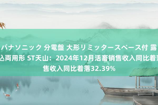 パナソニック 分電盤 大形リミッタースペース付 露出・半埋込両用形 ST天山：2024年12月活畜销售收入同比着落32.39%
