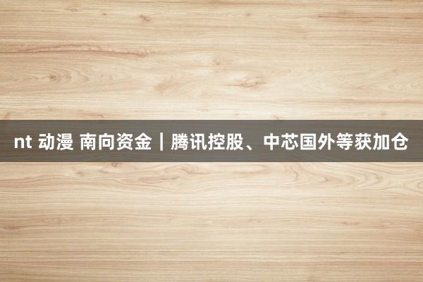 nt 动漫 南向资金｜腾讯控股、中芯国外等获加仓