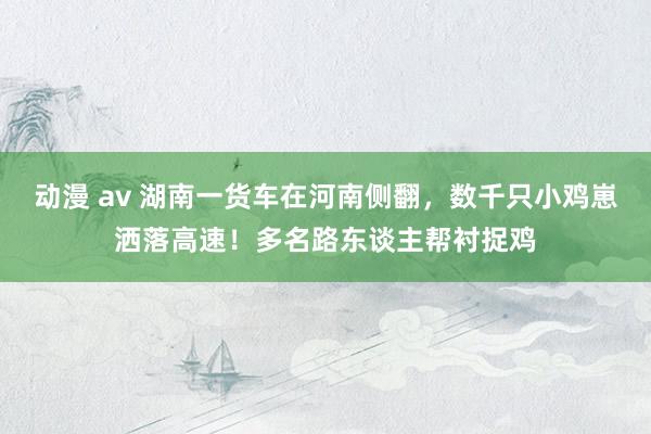 动漫 av 湖南一货车在河南侧翻，数千只小鸡崽洒落高速！多名路东谈主帮衬捉鸡